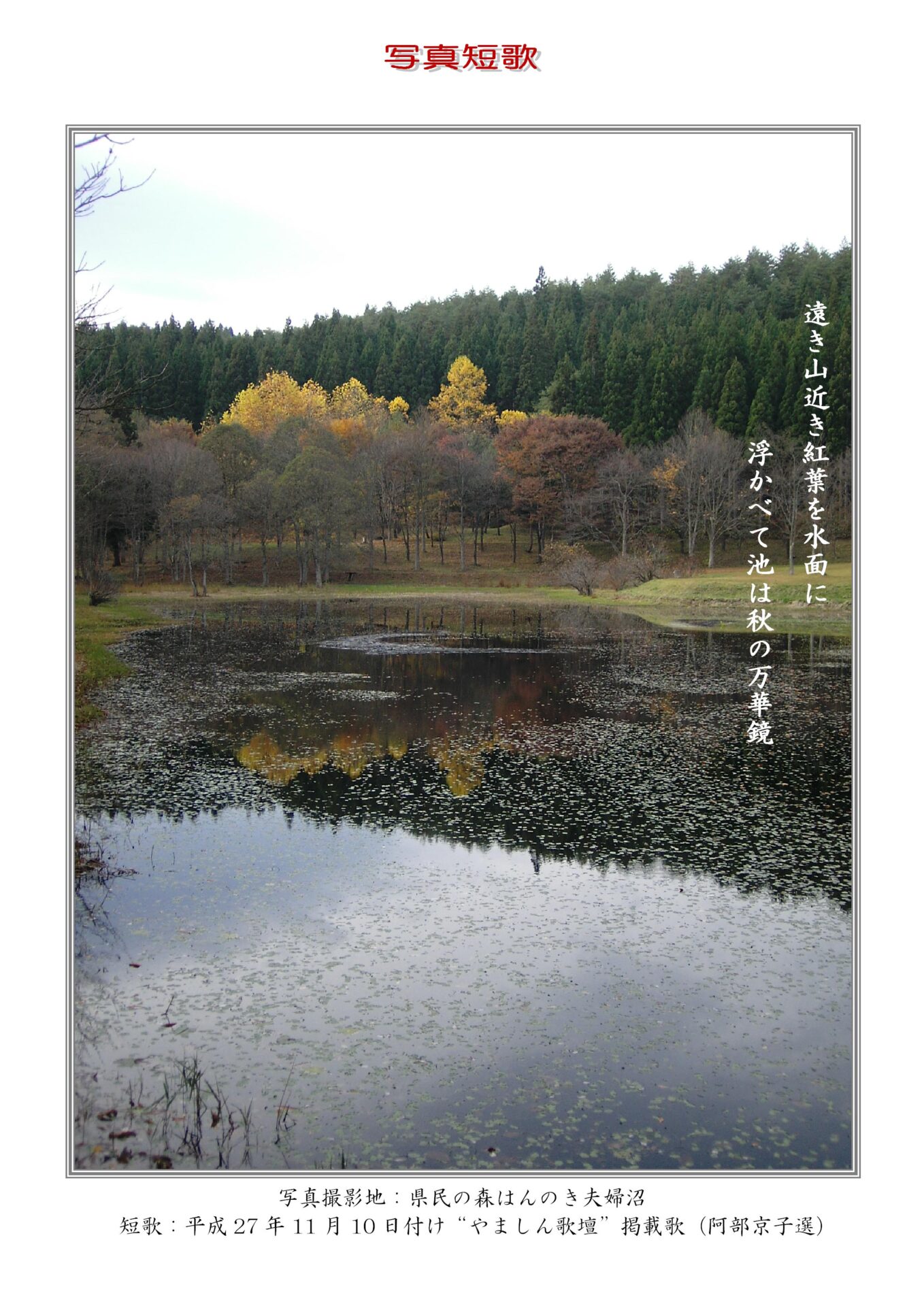 作品番号-０９：遠き山近き紅葉を水面に浮かべて池は秋の万華鏡