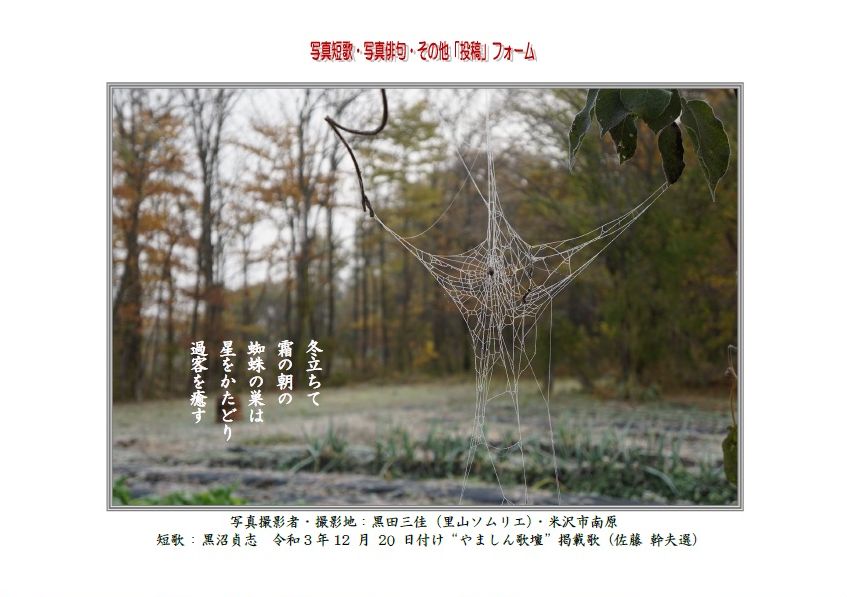 作品番号-１７（共同制作写真短歌）：冬立ちて霜の朝の蜘蛛の巣は星をかたどり過客を癒す