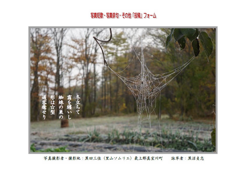 作品番号-１７（共同制作写真短歌）：冬立ちて霜を纏いし蜘蛛の巣は星を象り過客を癒す
