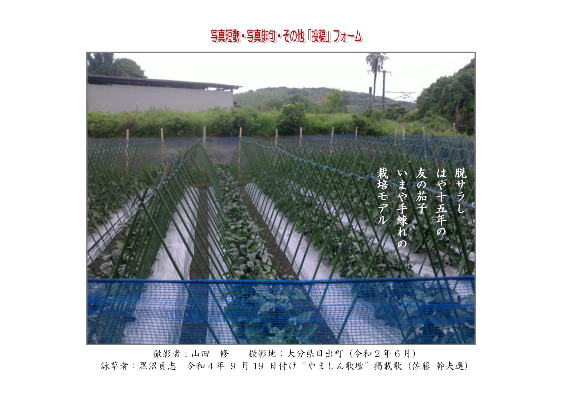 作品番号-３３（共同制作写真短歌）：脱サラしはや十五年の友の茄子いまや手練れの栽培モデル