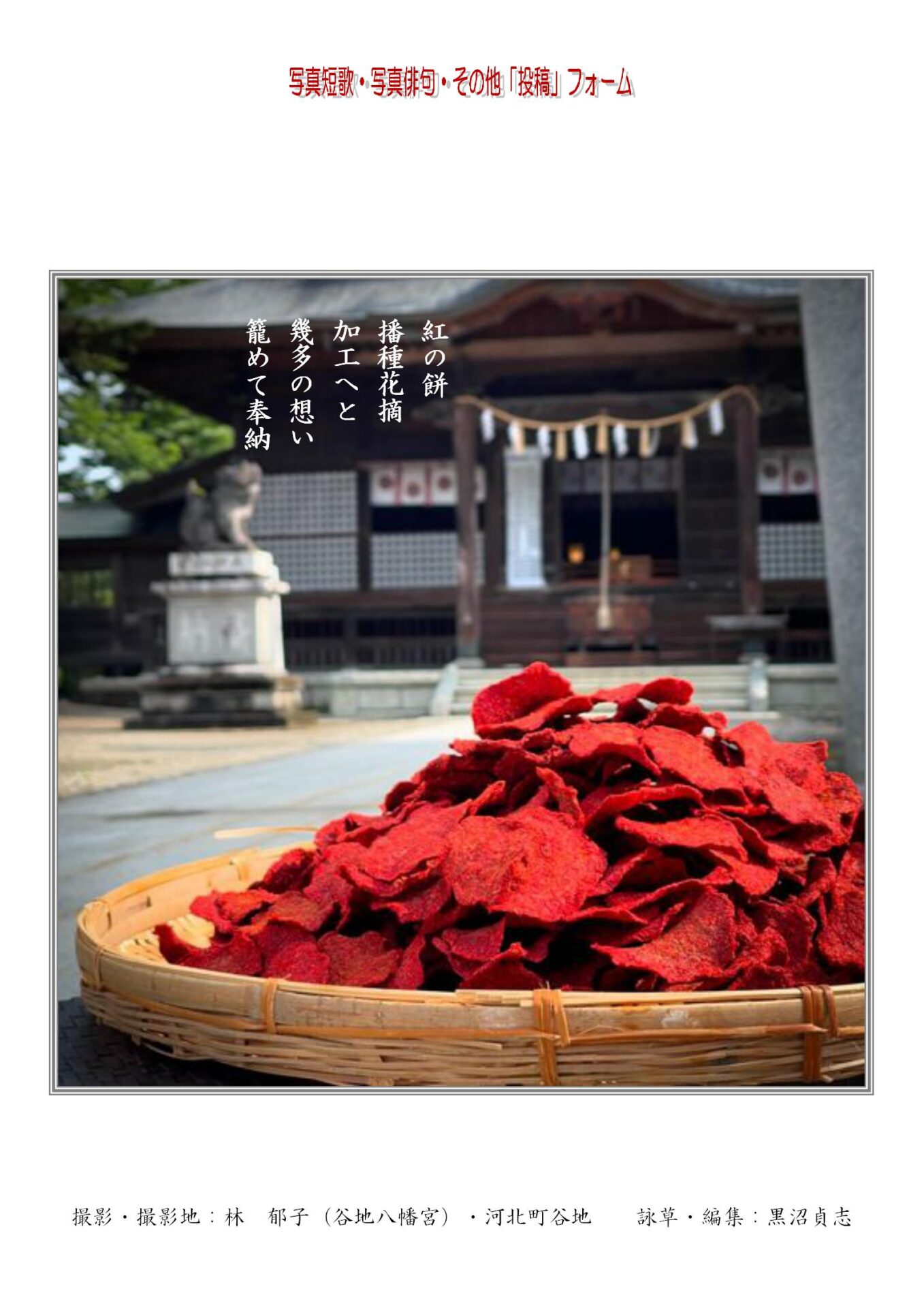 紅の餅播種花摘加工へと幾多の想い籠めて奉納