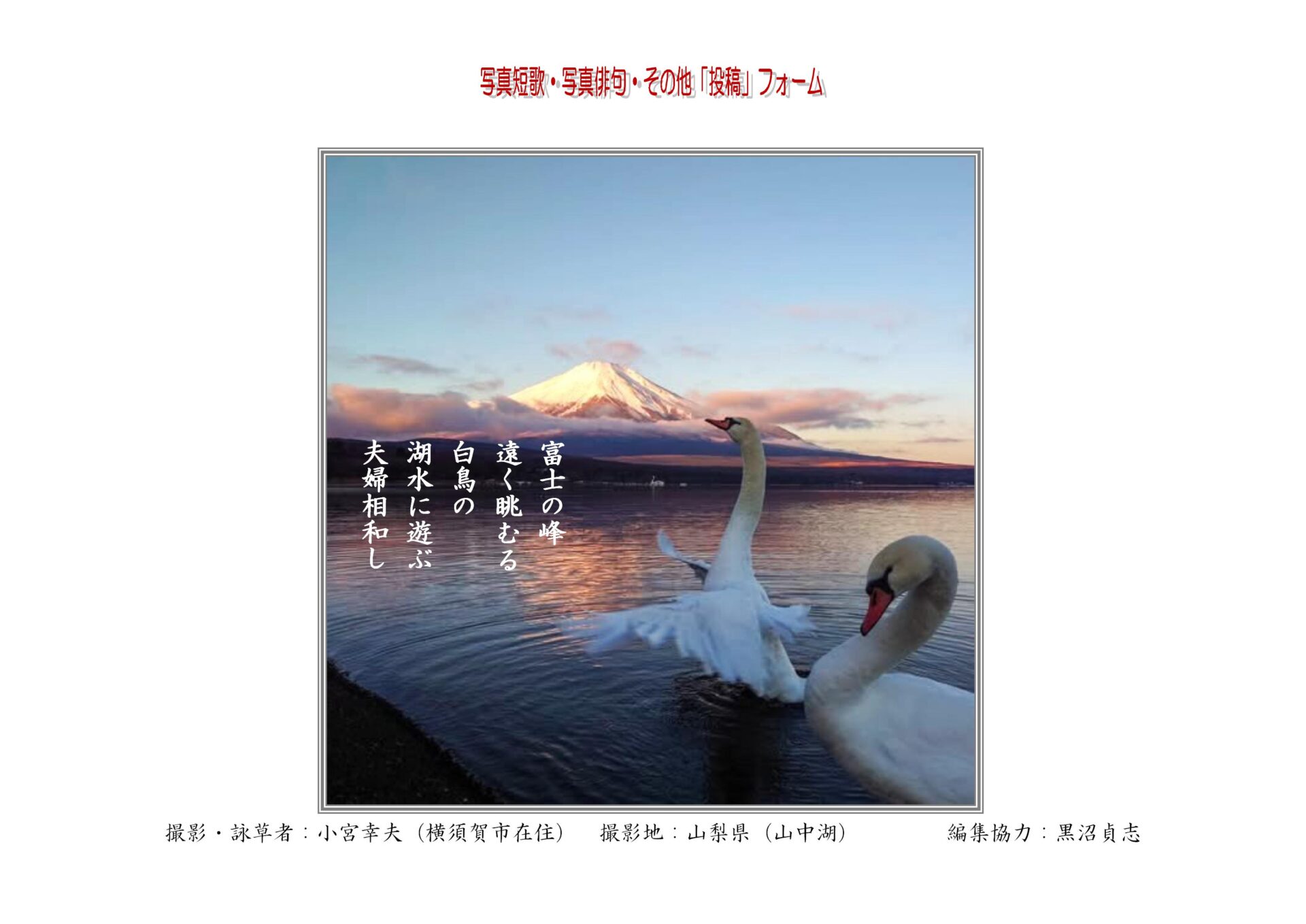 富士の峰遠く眺むる白鳥の湖水に遊ぶ夫婦相和し