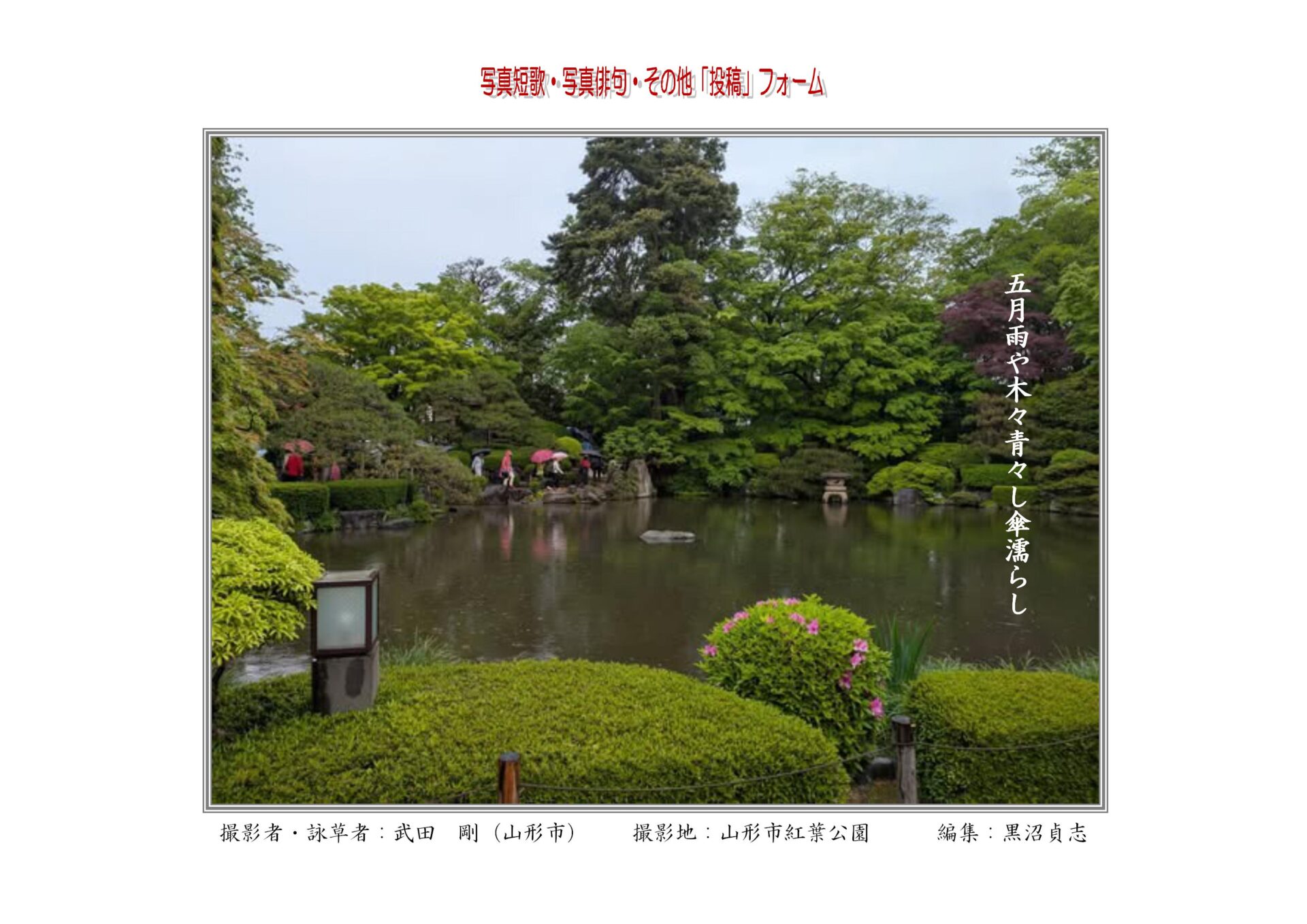 五月雨や　木々青々し　傘濡らし