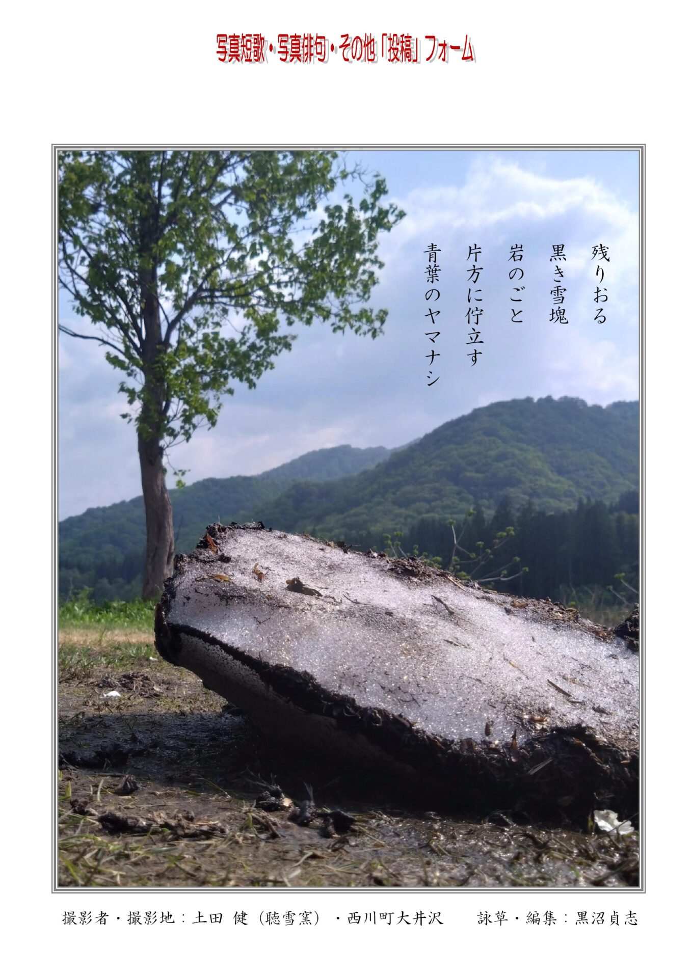 残りおる黒き雪塊岩のごと片方に佇立す青葉のヤマナシ