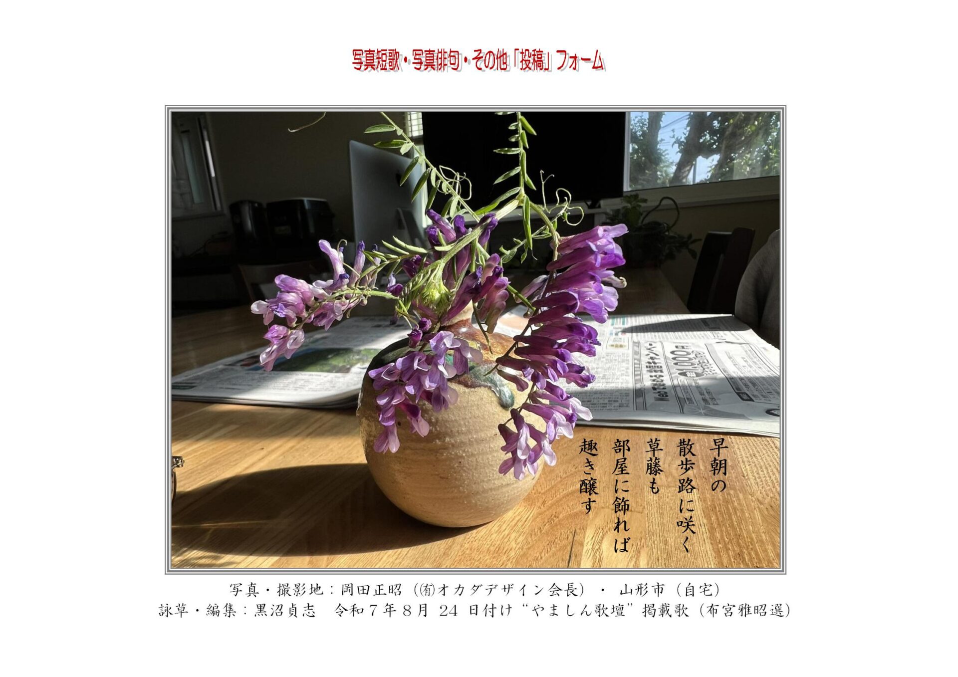 早朝の散歩路に咲く草藤も部屋に飾れば趣き醸す