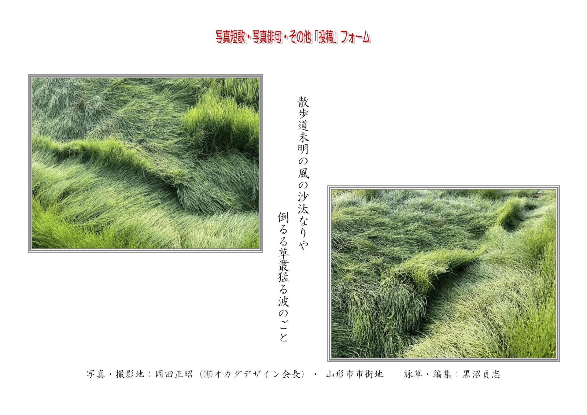散歩道未明の風の沙汰なりや倒るる草叢猛る波のごと