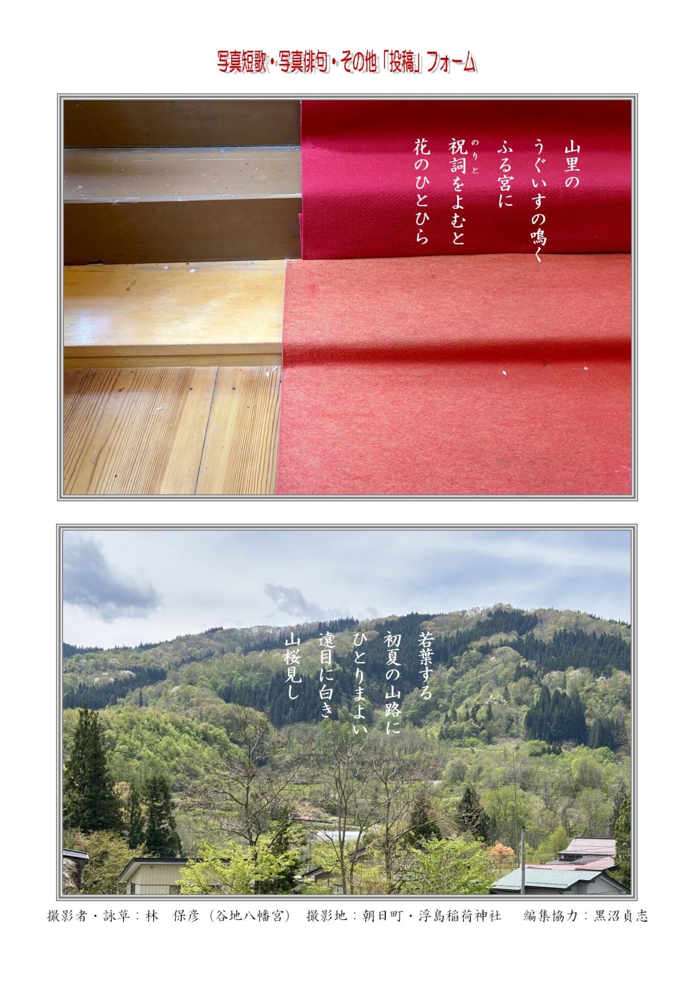 山里のうぐいすの鳴くふる宮に祝詞（のりと）をよむと花のひとひら／若葉する初夏の山路にひとりまよい遠目に白き山桜見し