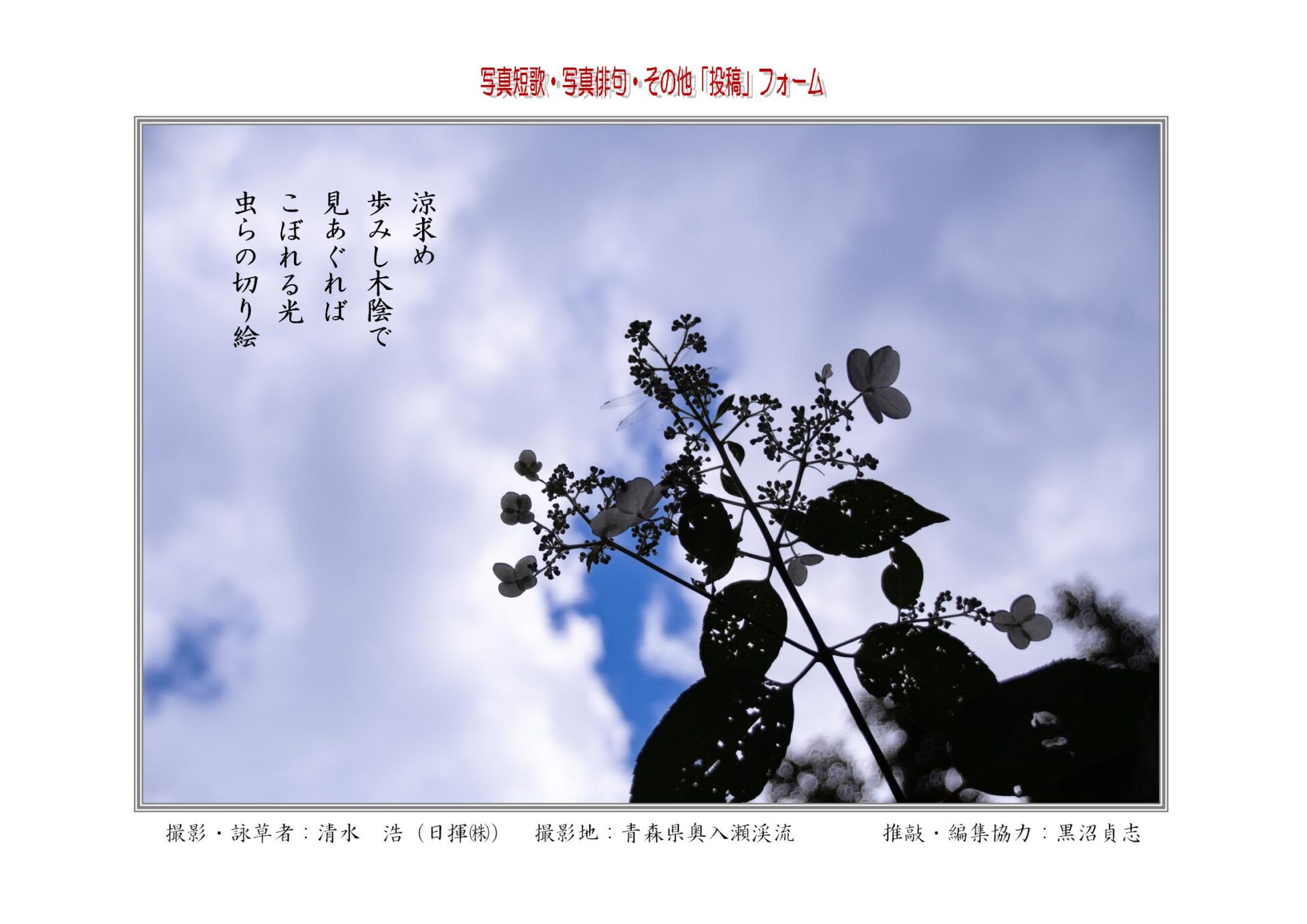 涼求め歩みし木陰で見あぐればこぼれる光虫らの切り絵