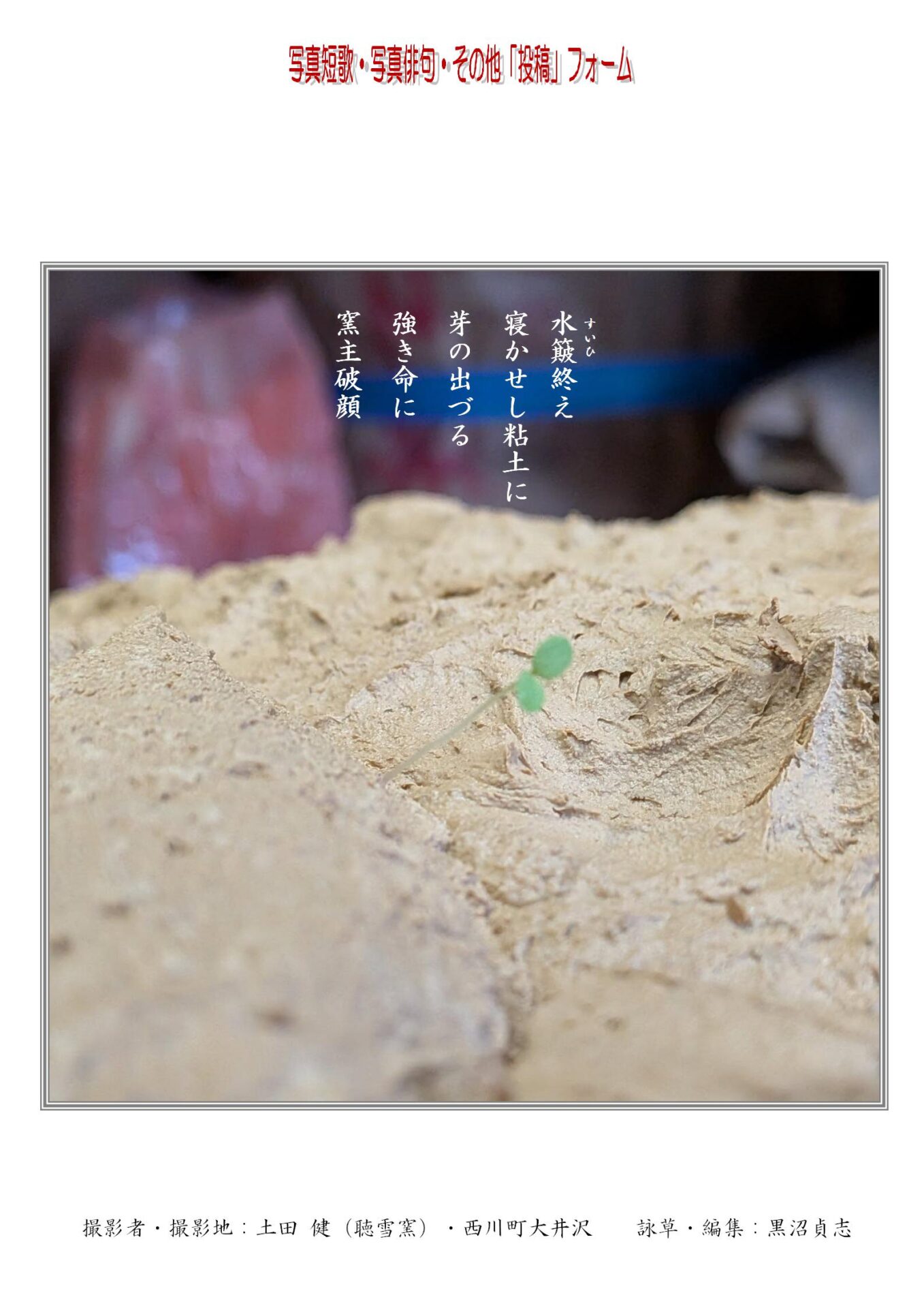 水簸（すいひ）終え寝かせし粘土に芽の出づる強き命に窯主破顔