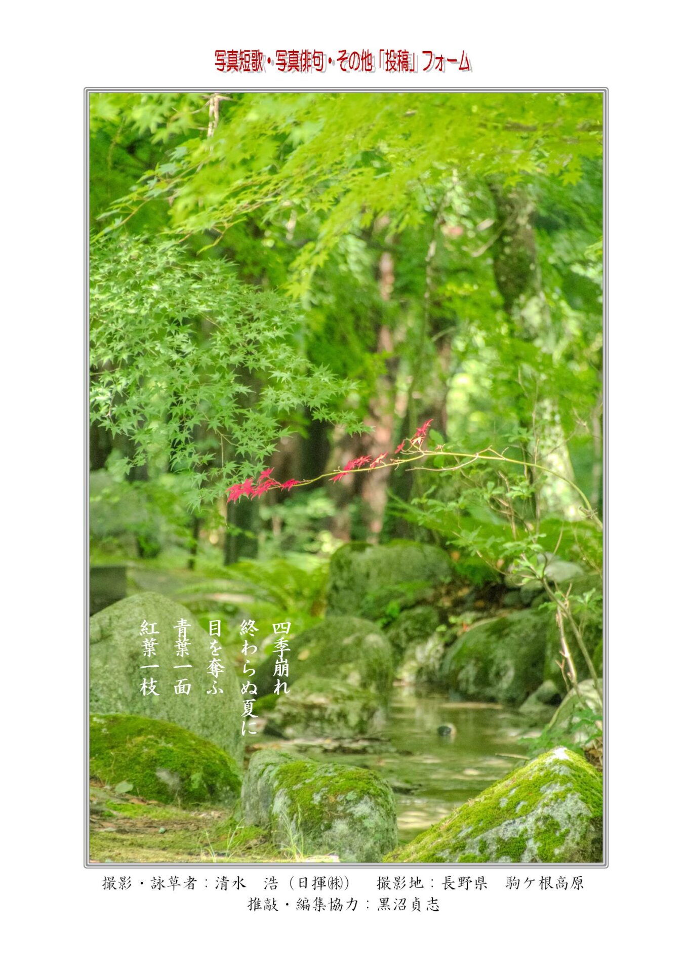 四季崩れ終わらぬ夏に目を奪ふ青葉一面紅葉一枝