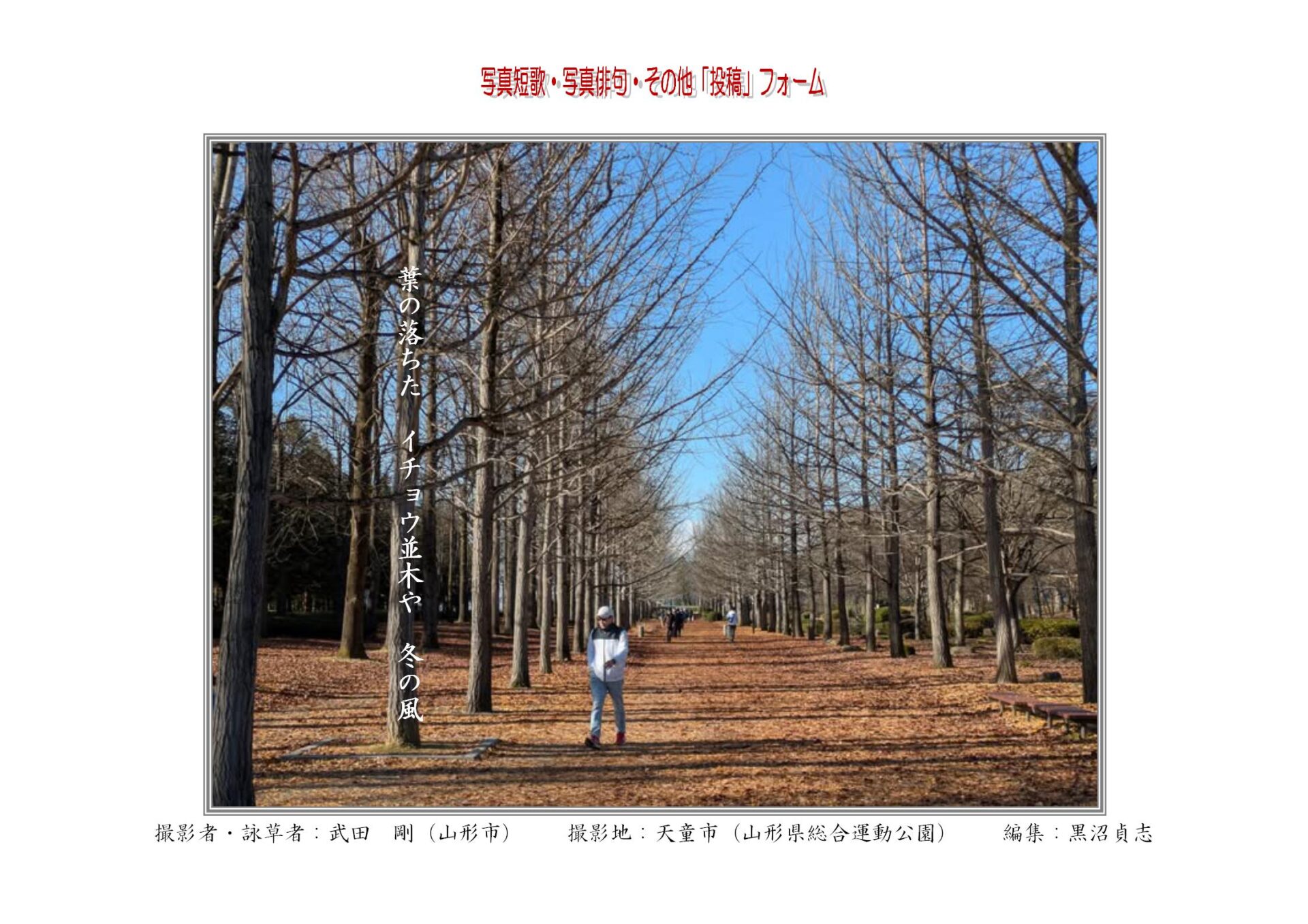 葉の落ちた　イチョウ並木や　冬の風