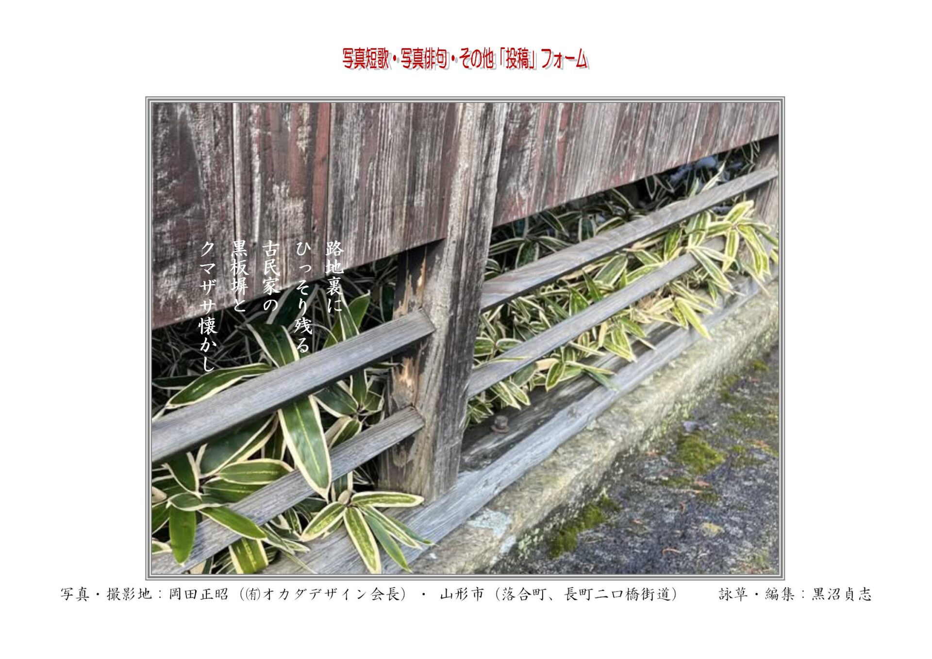 路地裏にひっそり残る古民家の黒板塀とクマザサ懐かし