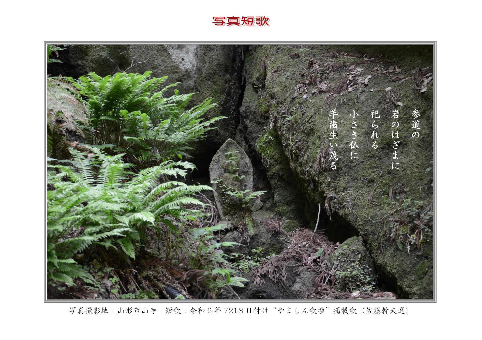 参道の岩のはざまに祀られる小さき仏に羊歯生い茂る