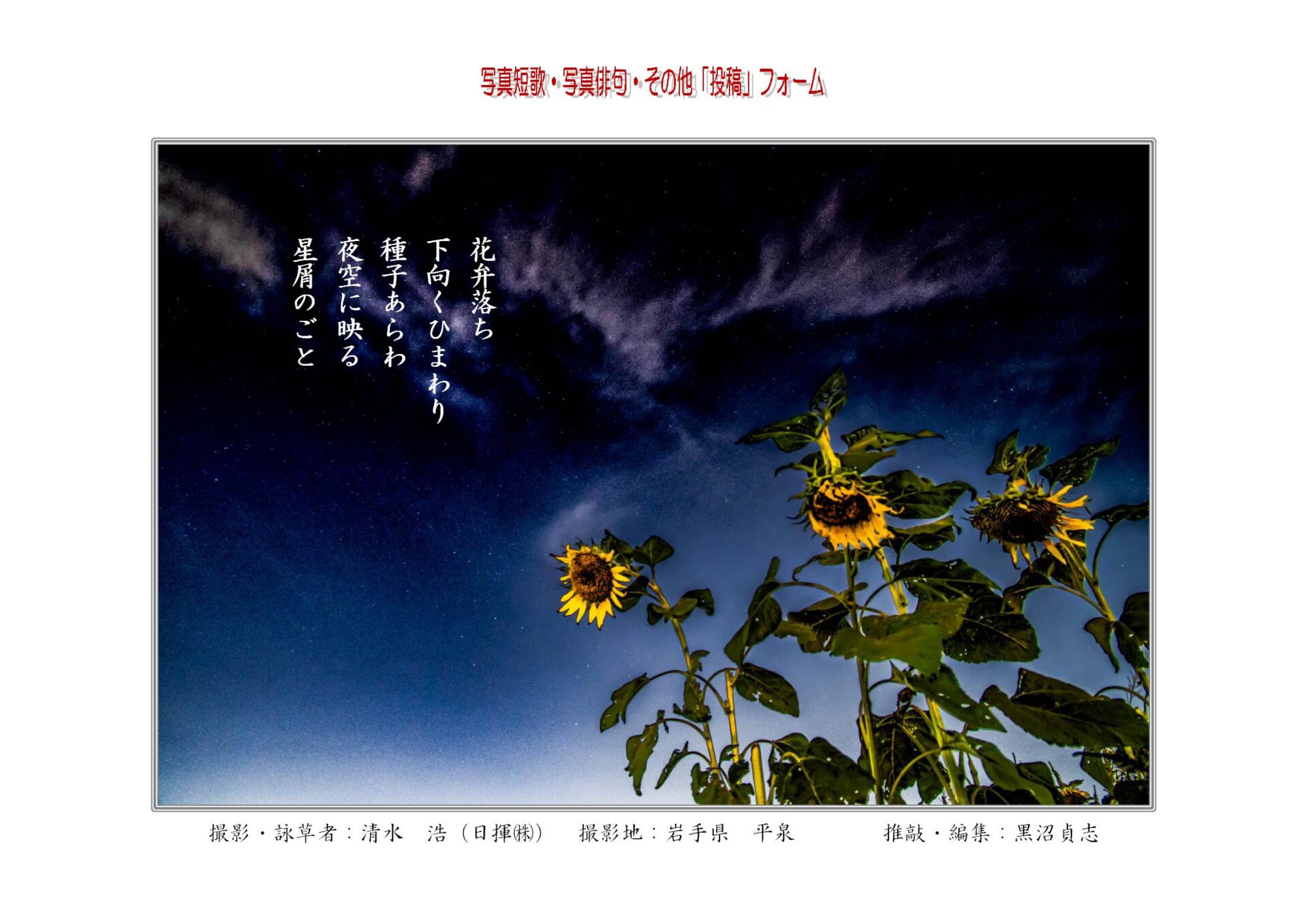 花弁落ち下向くひまわり種子あらわ夜空に映る星屑のごと