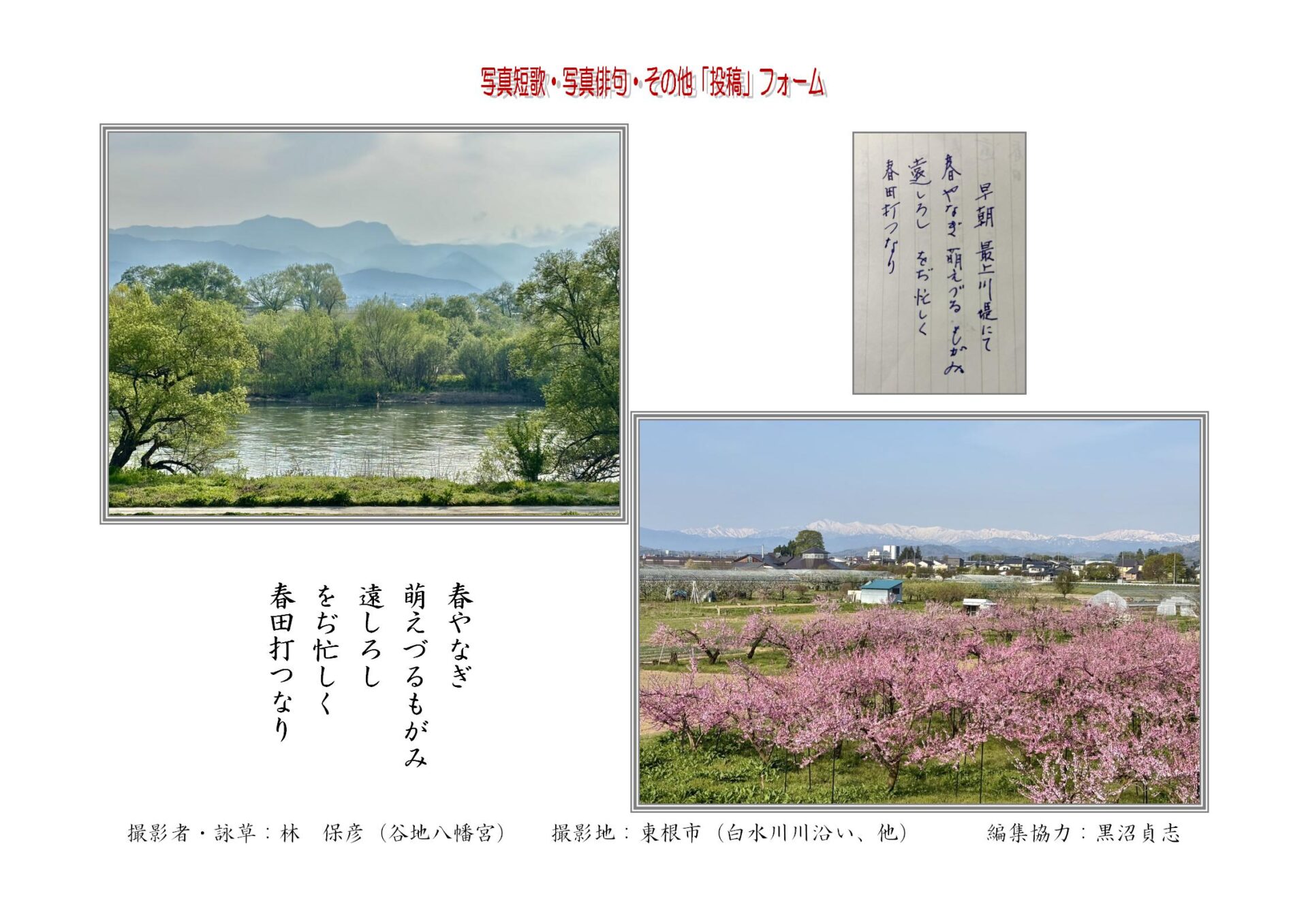 春やなぎ萌えづるもがみ遠しろしをぢ忙しく春田打つなり