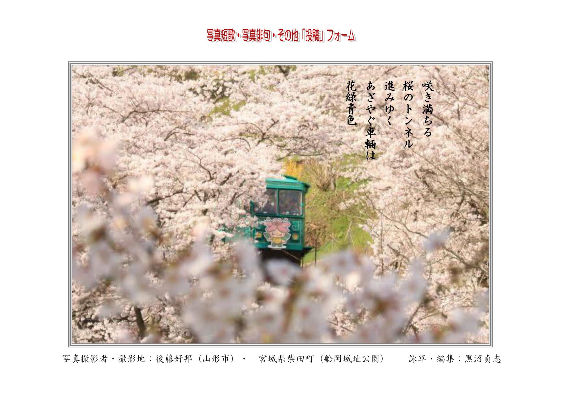 咲き満ちる桜のトンネル進みゆくあざやぐ車輛は花緑青色
