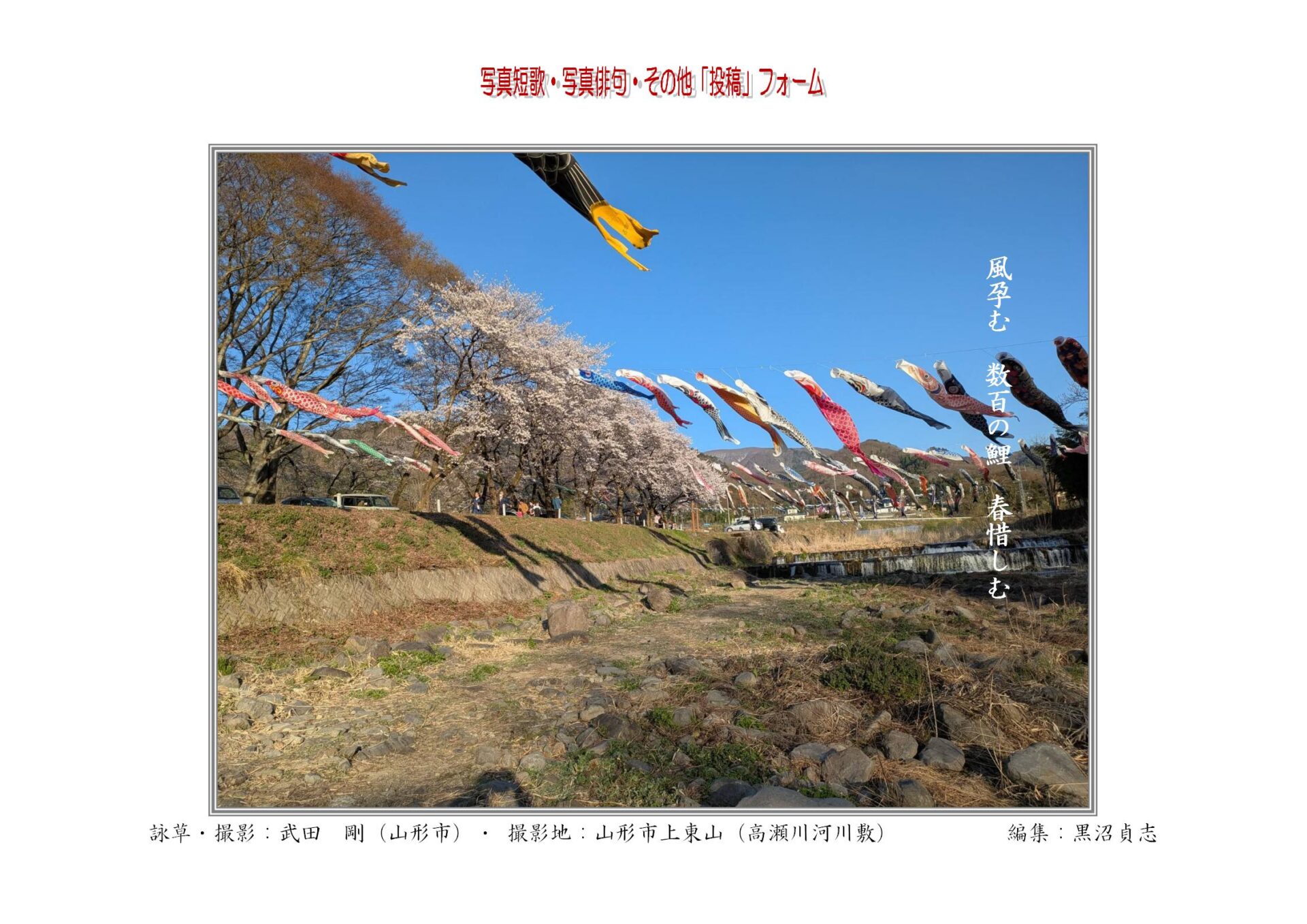 風孕む　数百の鯉　春惜しむ