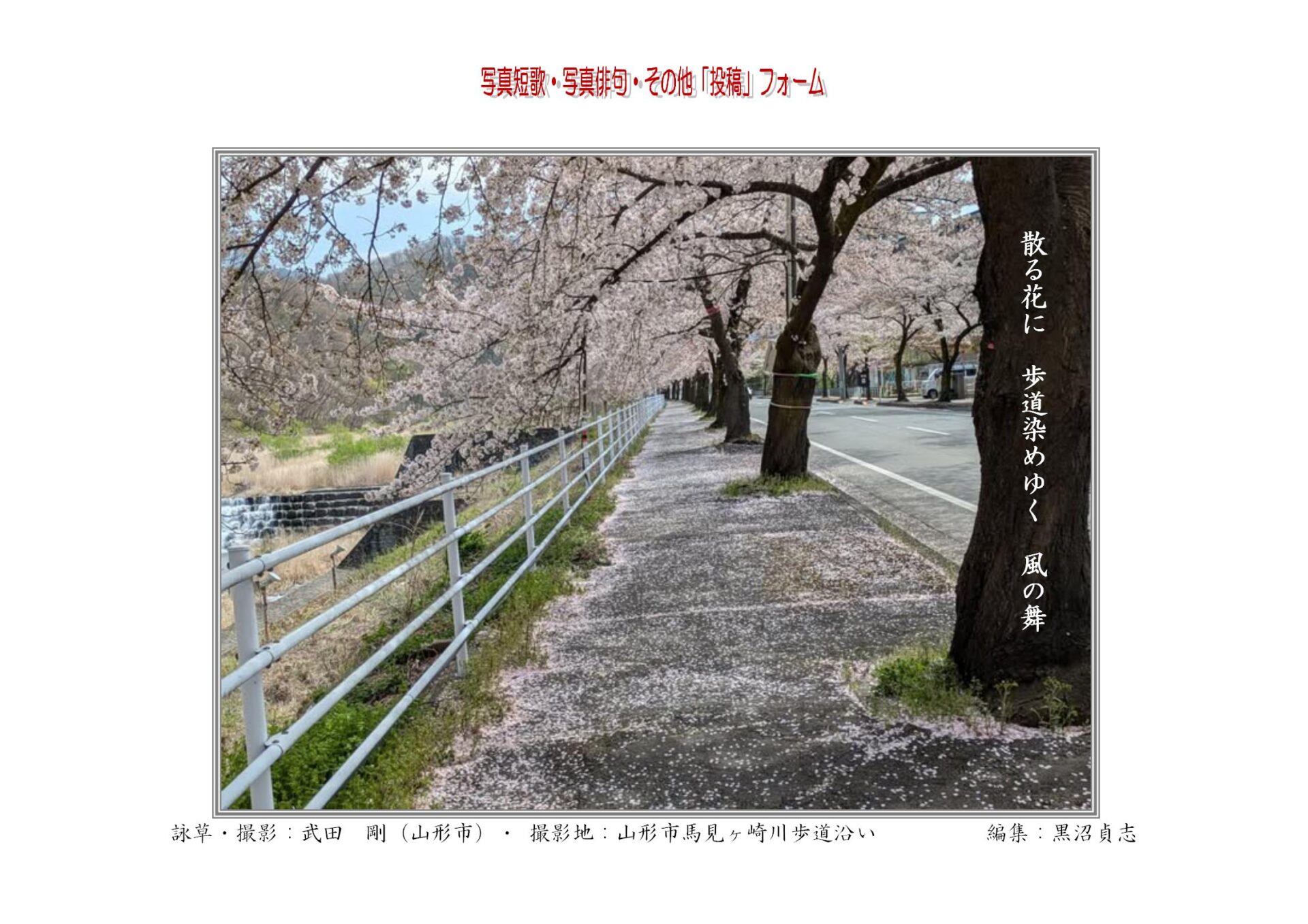 散る花に　歩道染めゆく　風の舞