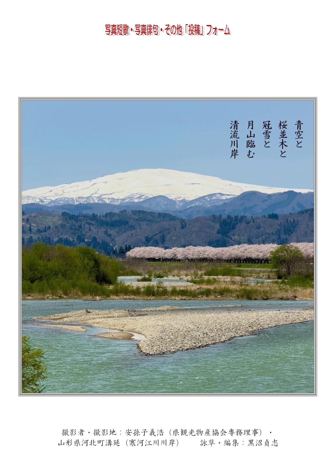 青空と桜並木と冠雪と月山臨む清流川岸