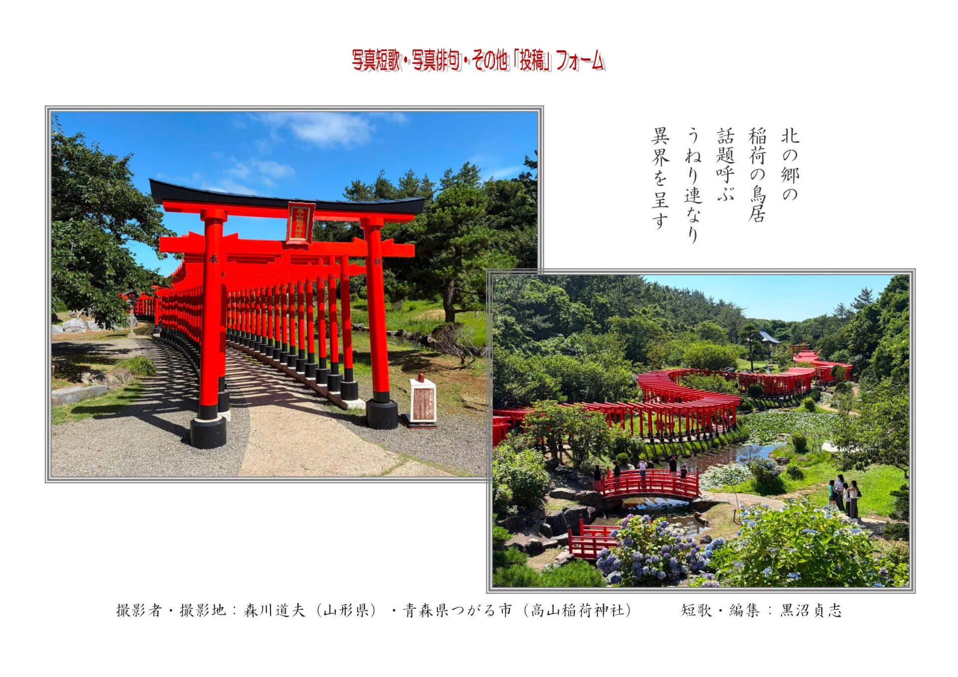 北の郷の稲荷の鳥居話題呼ぶうねり連なり異界を呈す