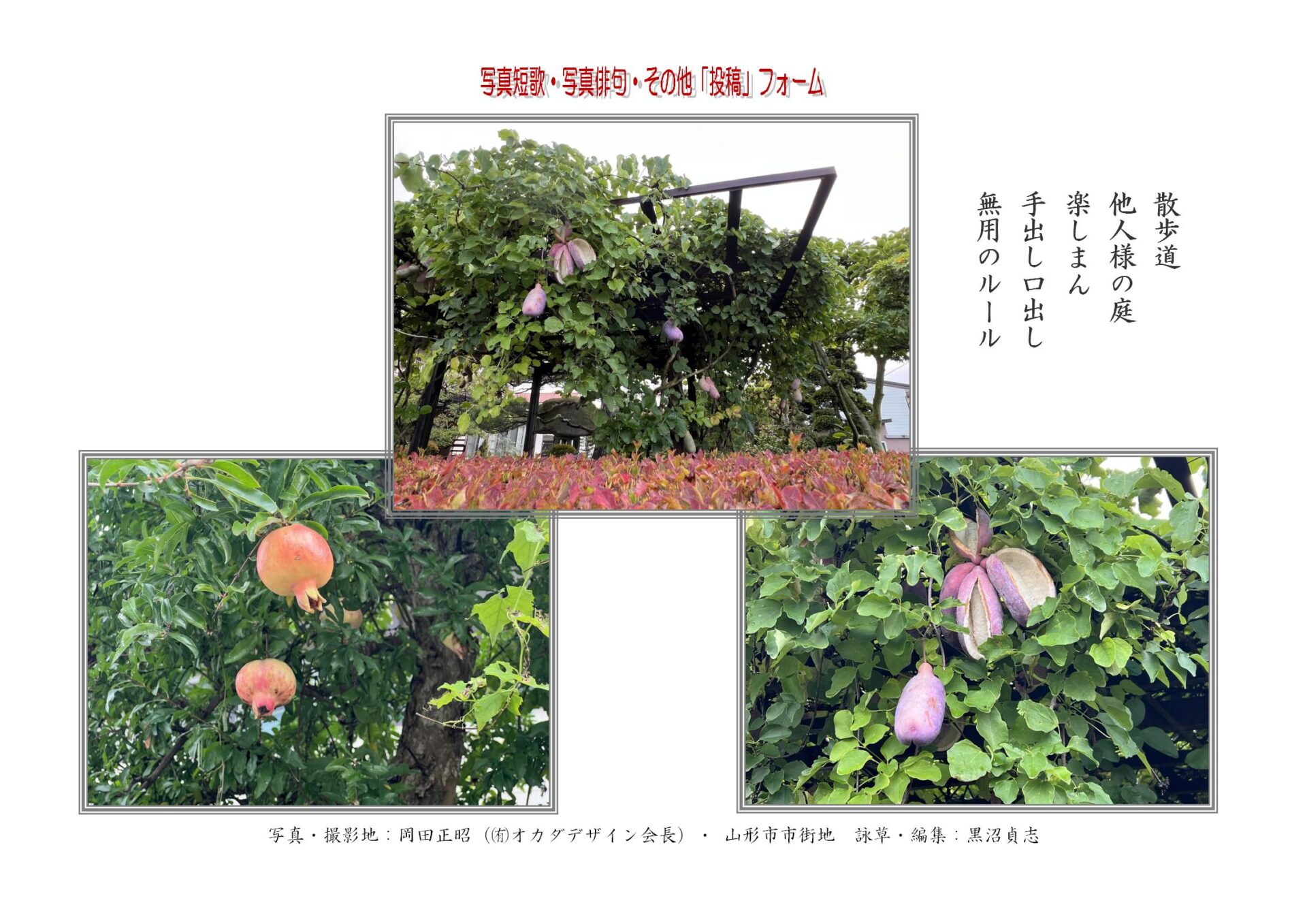 散歩道他人様の庭楽しまん手出し口出し無用のルール