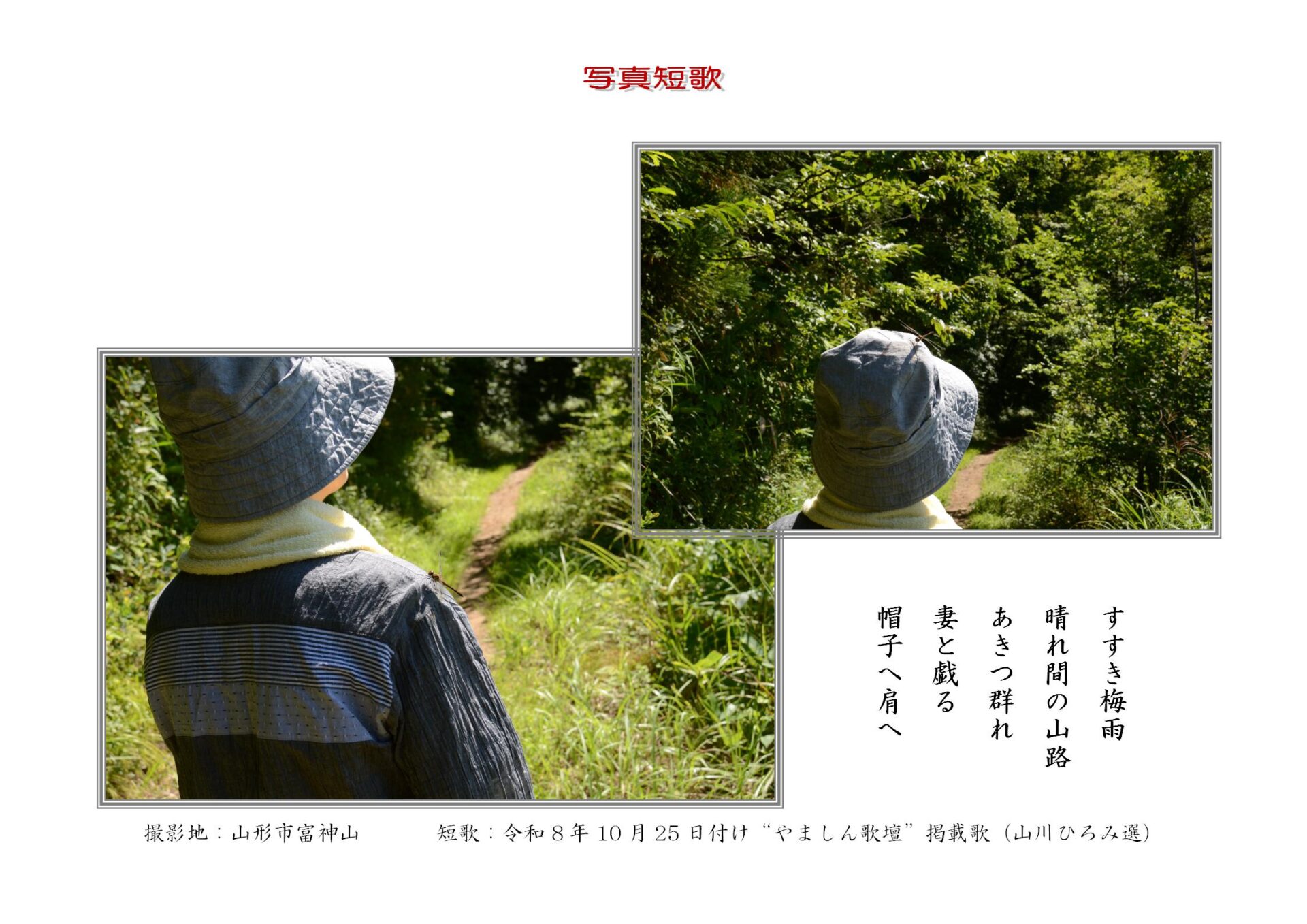 すすき梅雨晴れ間の山路あきつ群れ妻と戯る帽子へ肩へ